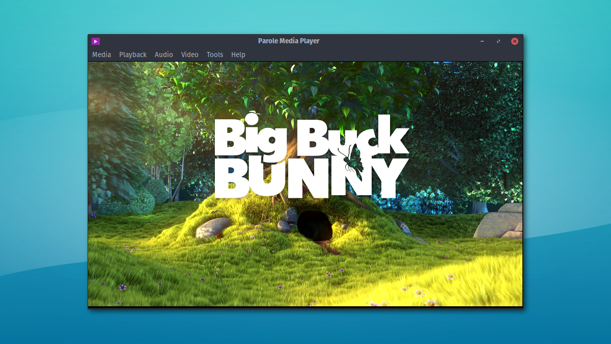 Parole playing Big Buck Bunny
